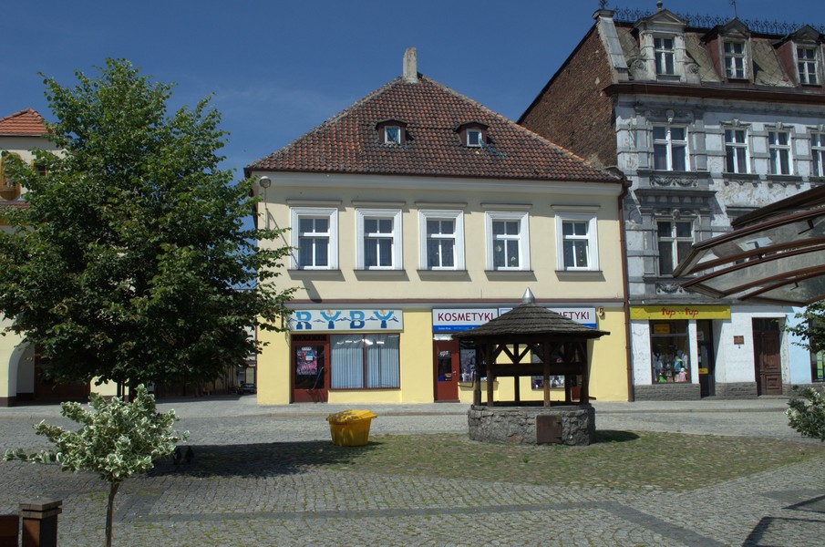 zdjecie