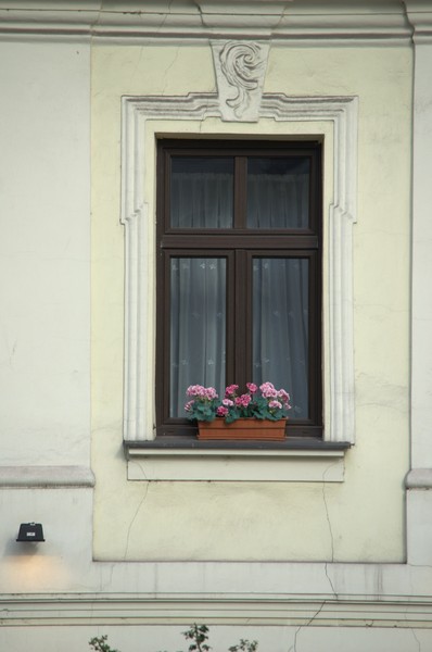 zdjecie