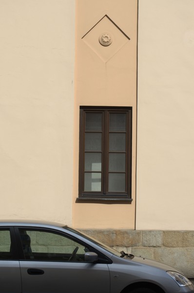 zdjecie