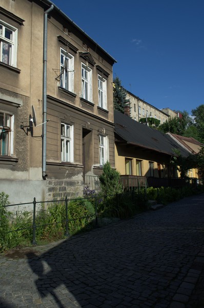 zdjecie