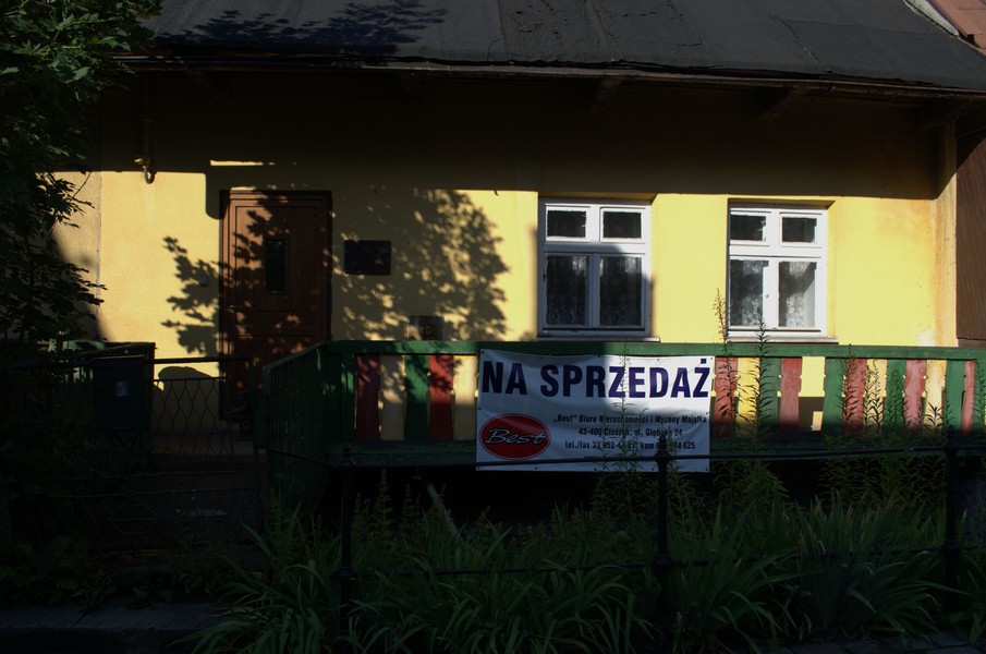 zdjecie