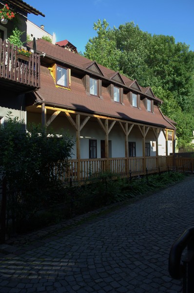 zdjecie