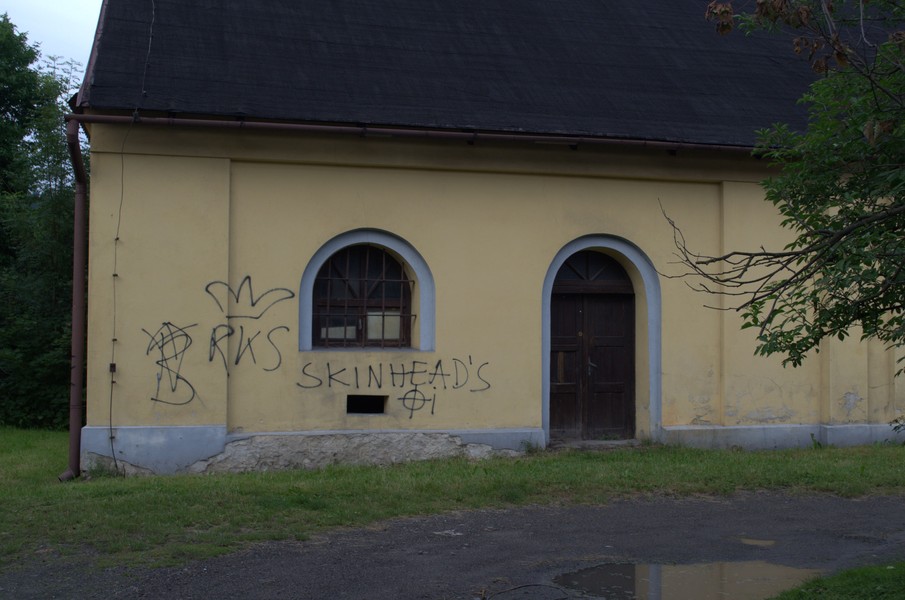 zdjecie