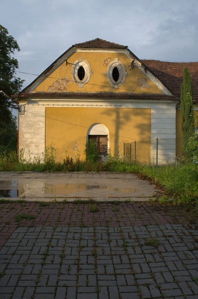 zdjecie