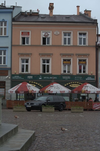 zdjecie