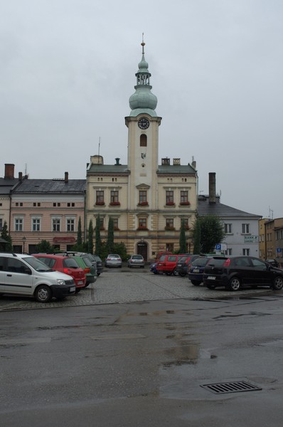 zdjecie