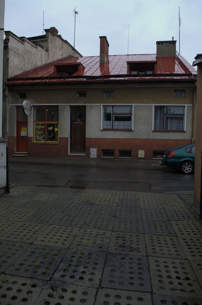 zdjecie