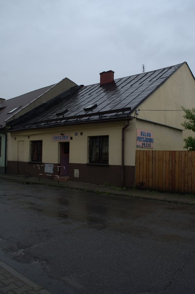 zdjecie