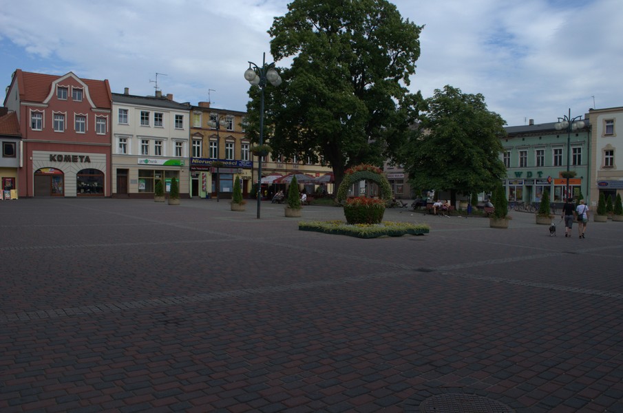 zdjecie