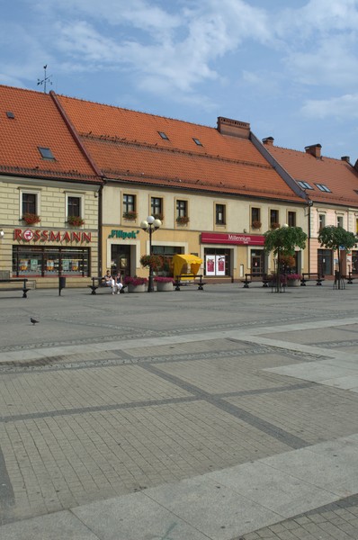zdjecie