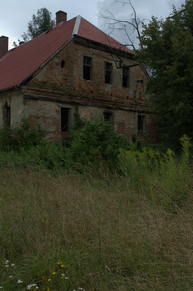 zdjecie