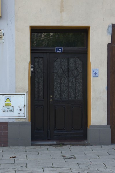 zdjecie
