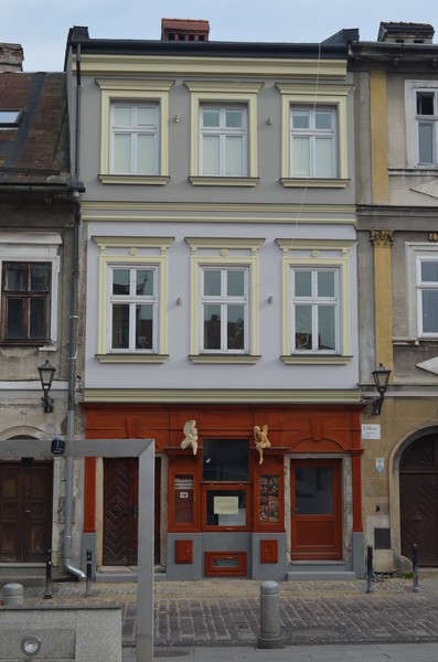 zdjecie