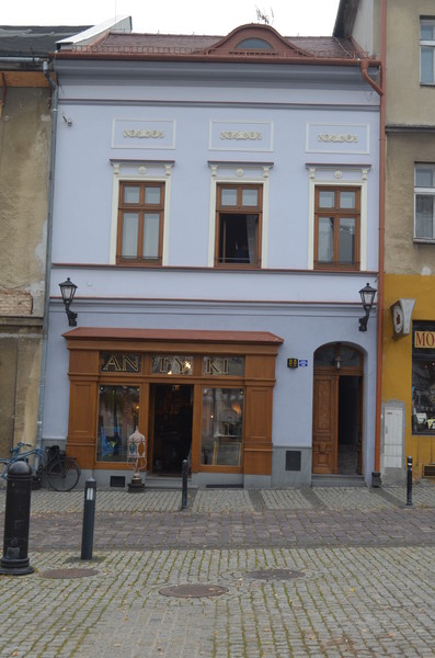 zdjecie