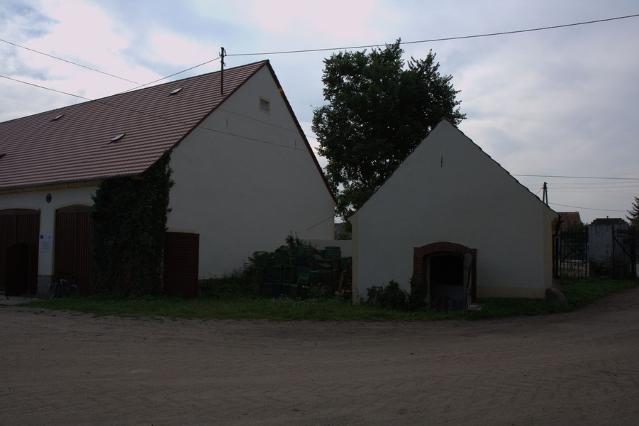 zdjecie