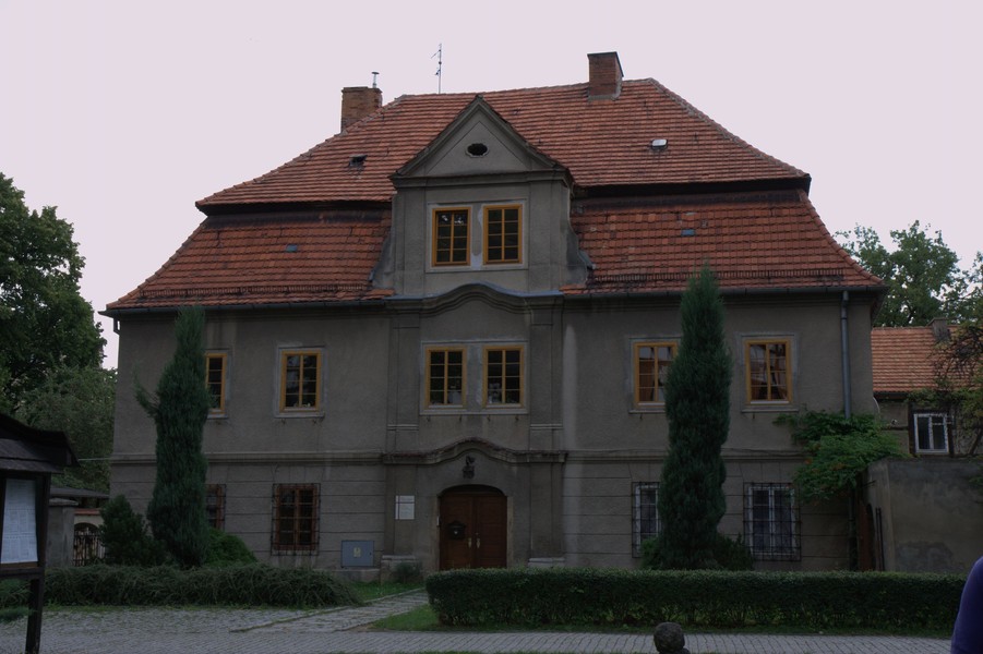 zdjecie