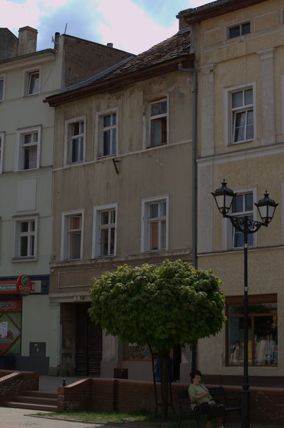 zdjecie