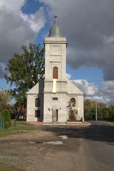 zdjecie