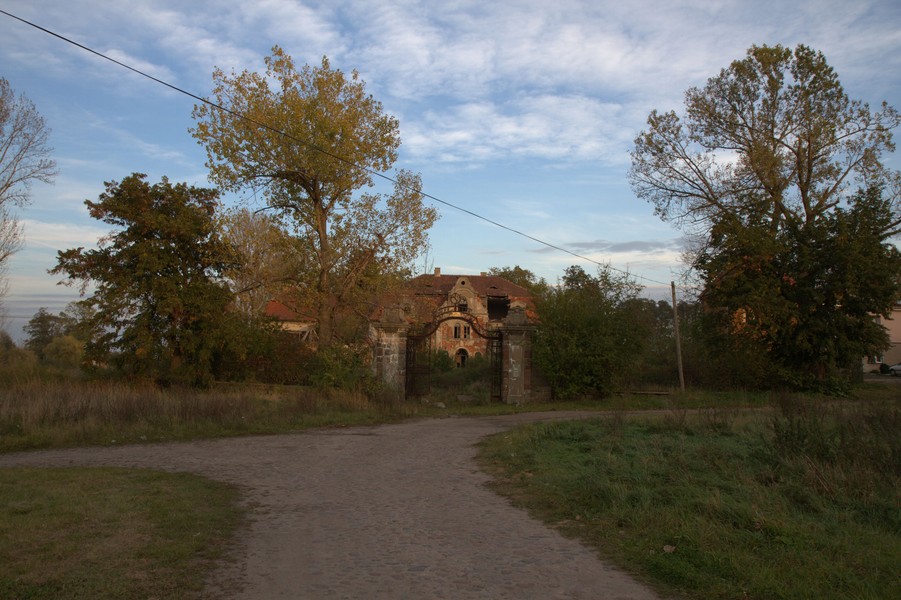 zdjecie