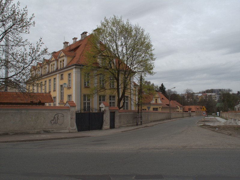 zdjecie