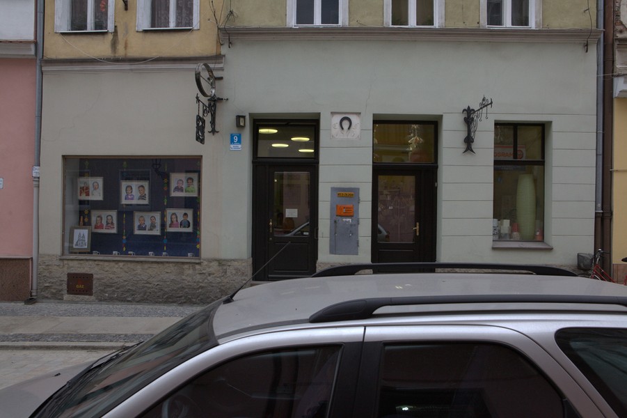 zdjecie