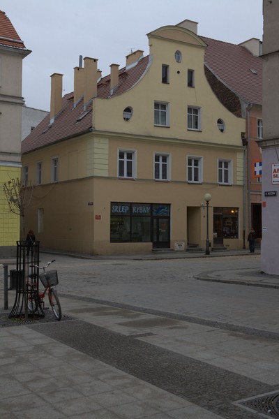 zdjecie