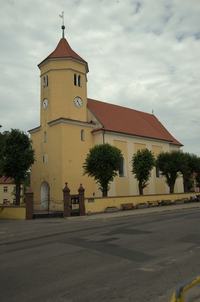 zdjecie