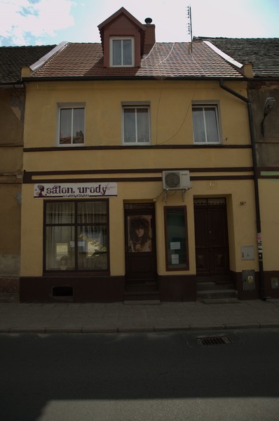 zdjecie