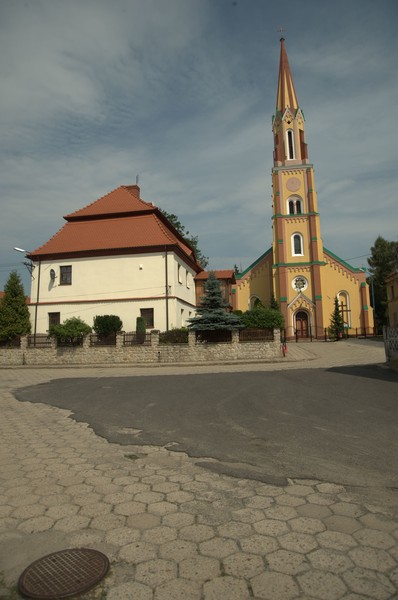 zdjecie