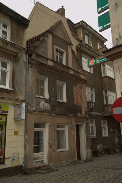 zdjecie