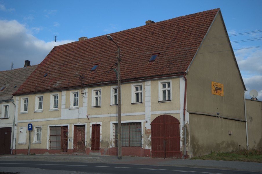 zdjecie