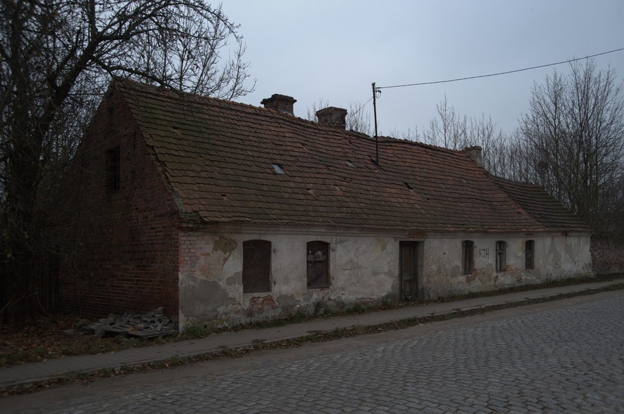 zdjecie