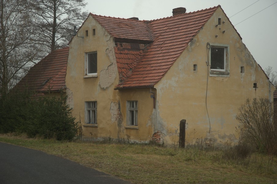 zdjecie