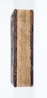 02454295.jpg