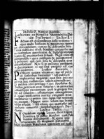 02827275.jpg