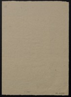 02882991.jpg