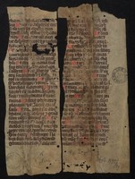 02882993.jpg