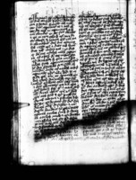 02926367.jpg