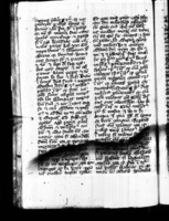 02926525.jpg