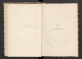 03868068.jpg