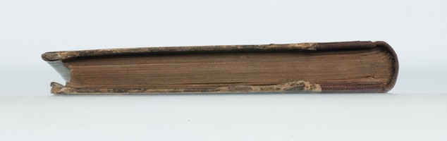 03871076.jpg