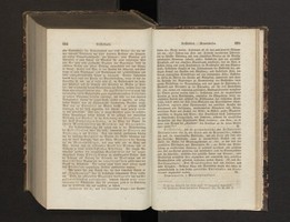 03877367.jpg