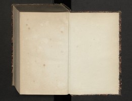 03877385.jpg