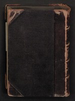 03880273.jpg