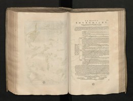 04740228.jpg