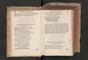 04749015.jpg