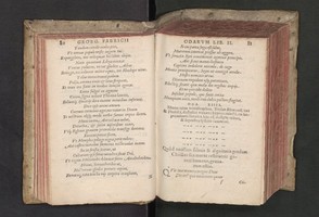 04749044.jpg