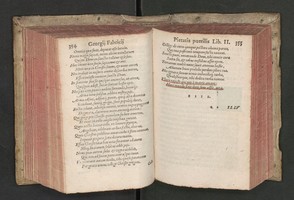 04749181.jpg
