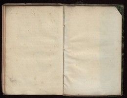 04974729.jpg