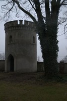 00117313.jpg